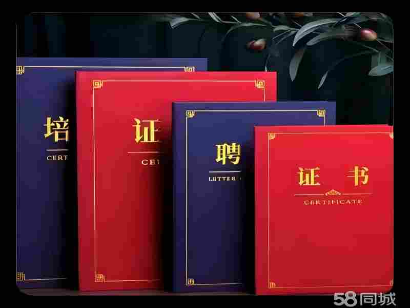 专业制作证件系方式价格多少？全面解析证件制作成本与选择指南